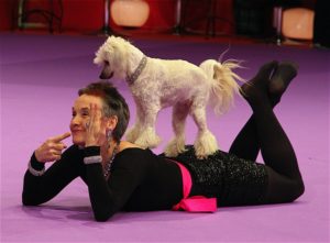 Åsa Nilsonne och hunden Zelda